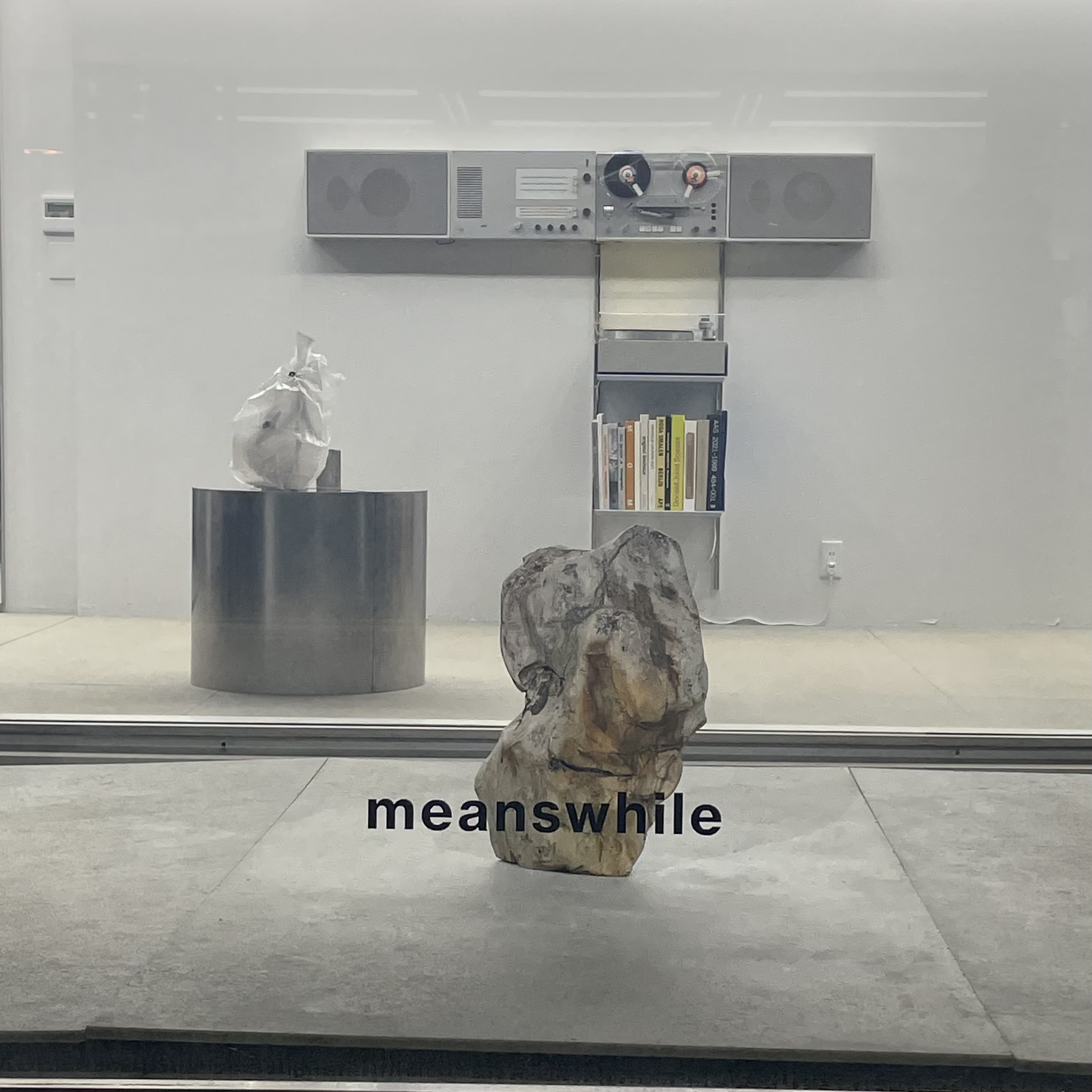 RAMIDUS / meanswhile