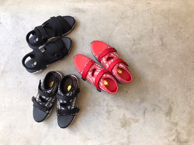 新作入荷