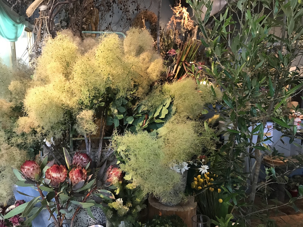 BLOG　