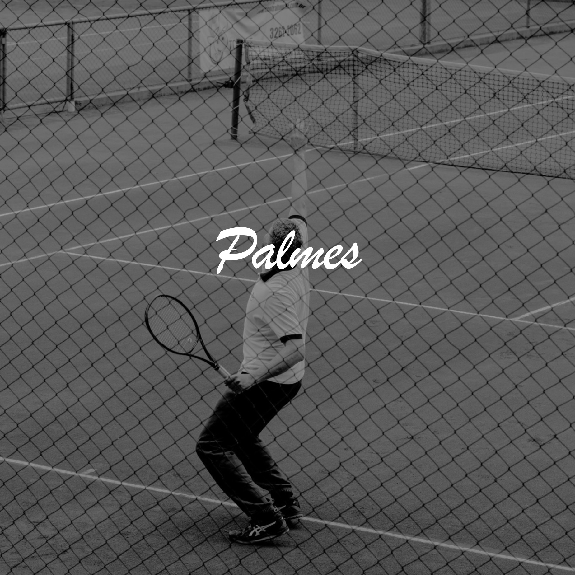 新規取扱ブランド  Palmes　