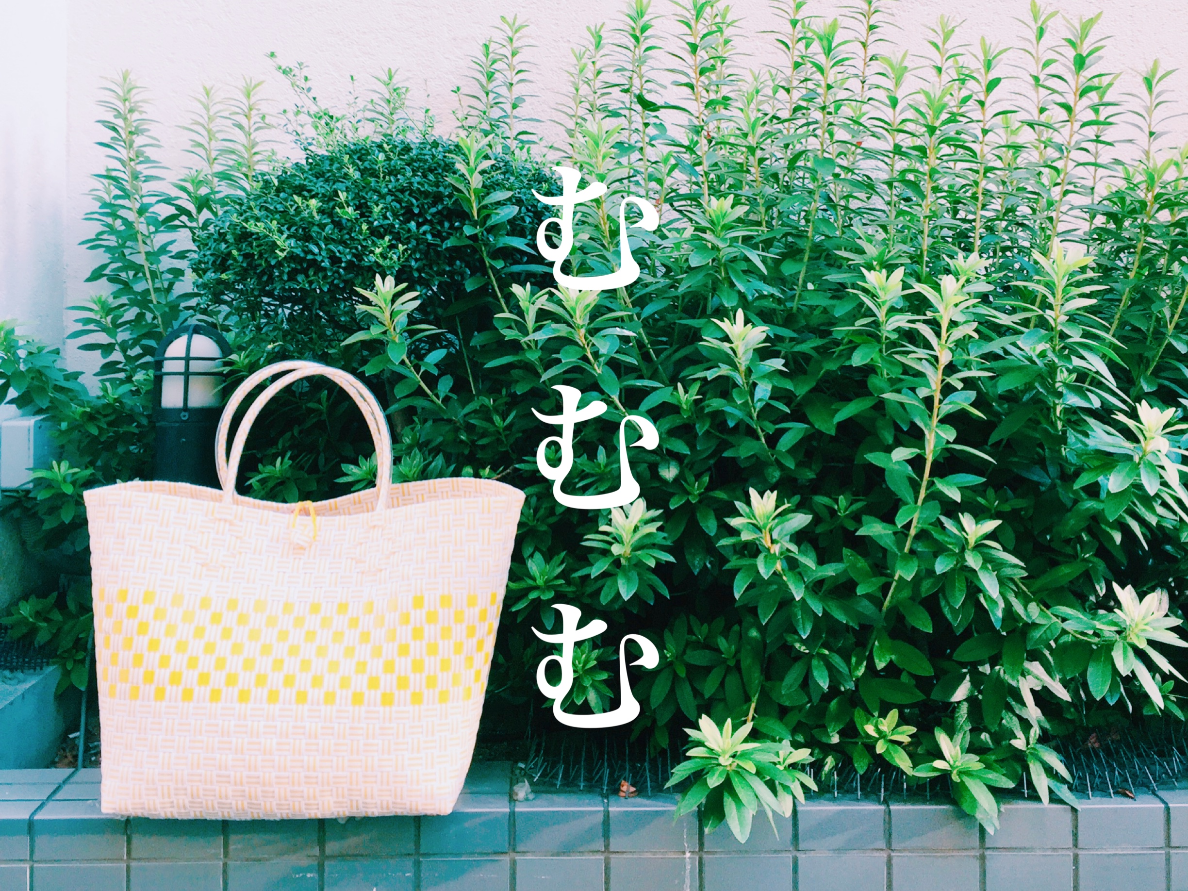 【夏期のお休みについて】