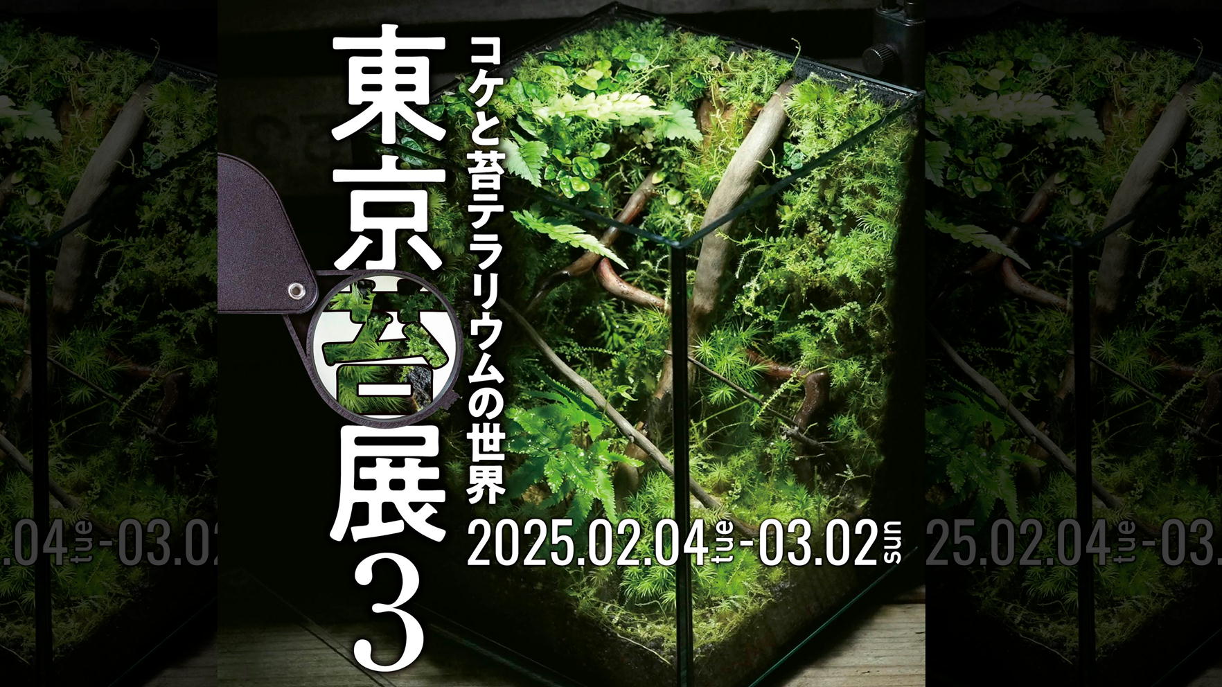 【終了しました】東京苔展３＠東京都板橋区 熱帯環境植物館