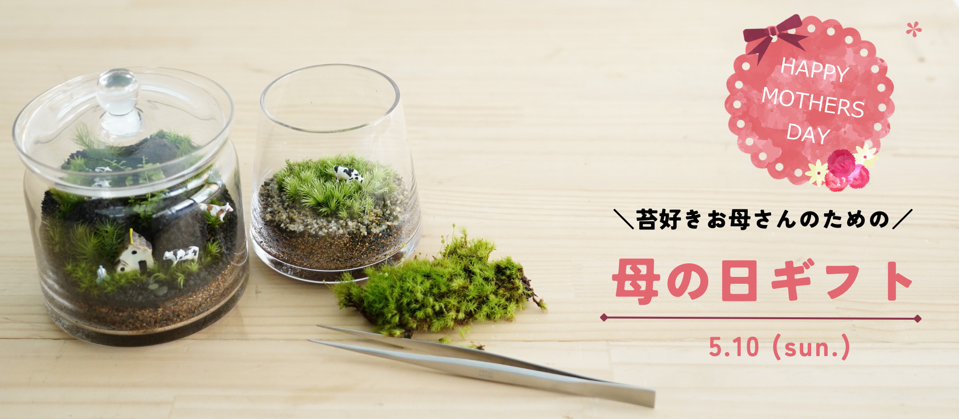 コケ好きなお母さんのための★母の日★苔ギフト【道草SELECTION】