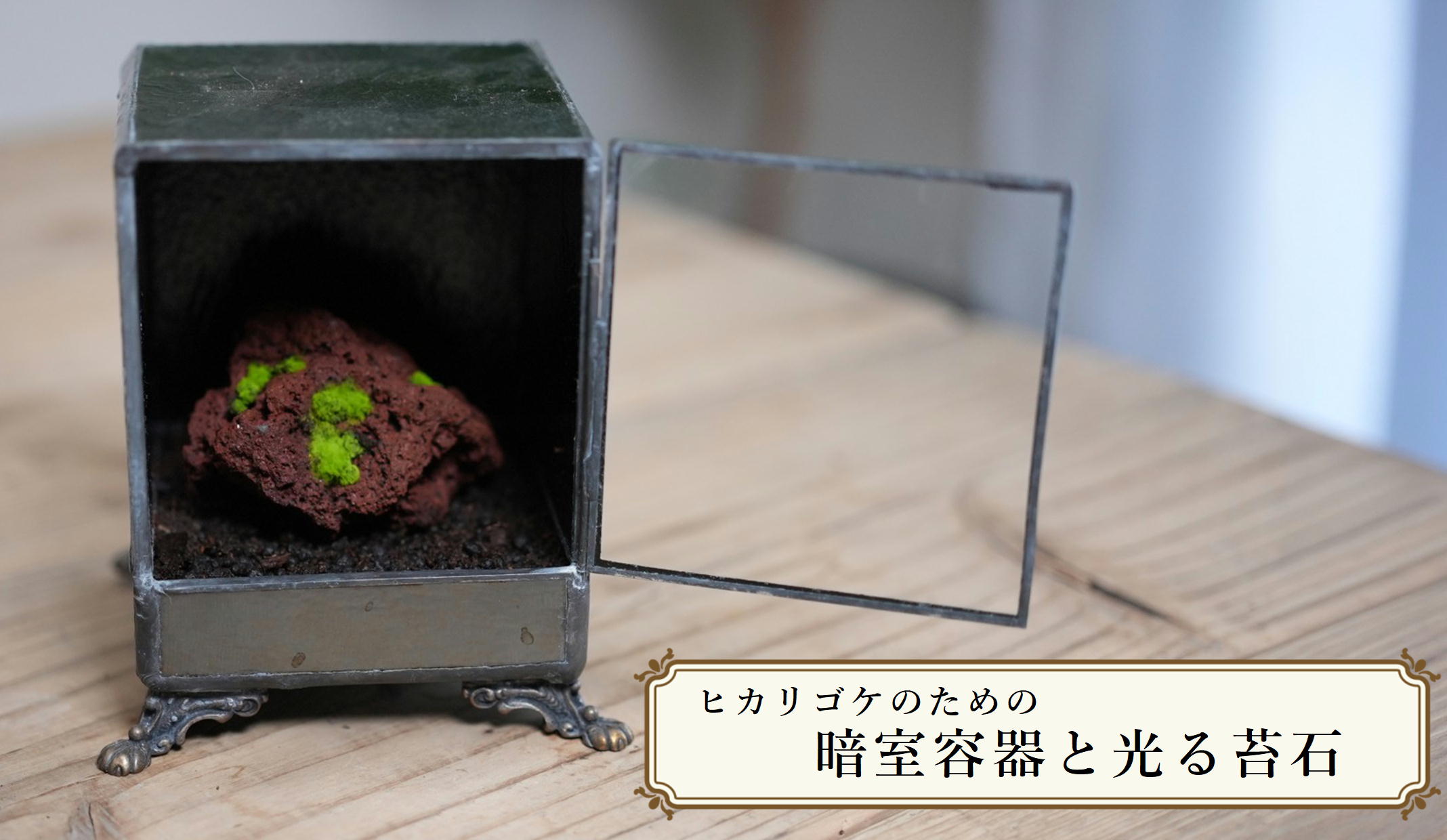 道草×IKUITコラボ第二弾『ヒカリゴケのための暗室容器と光る苔石』