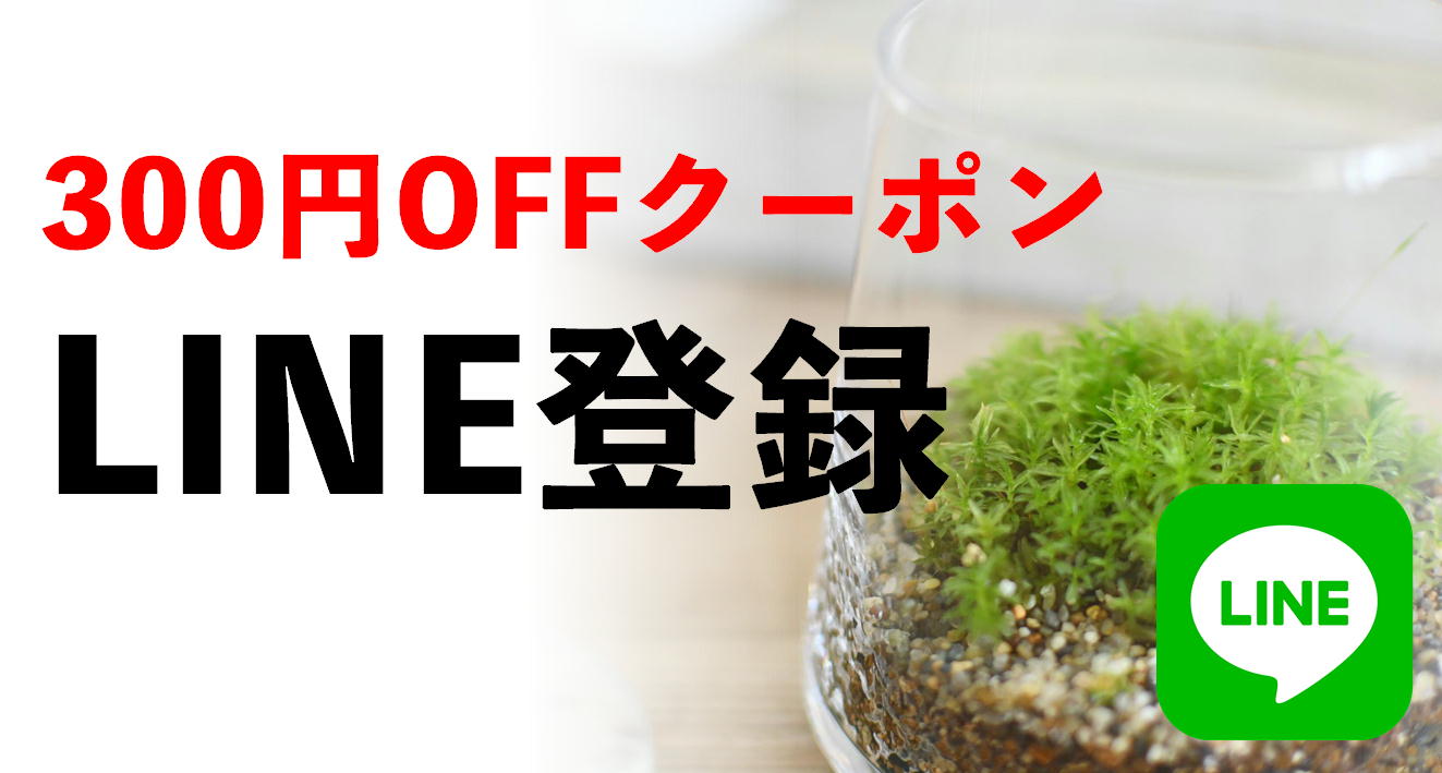 LINE登録で300円OFFクーポン差し上げます