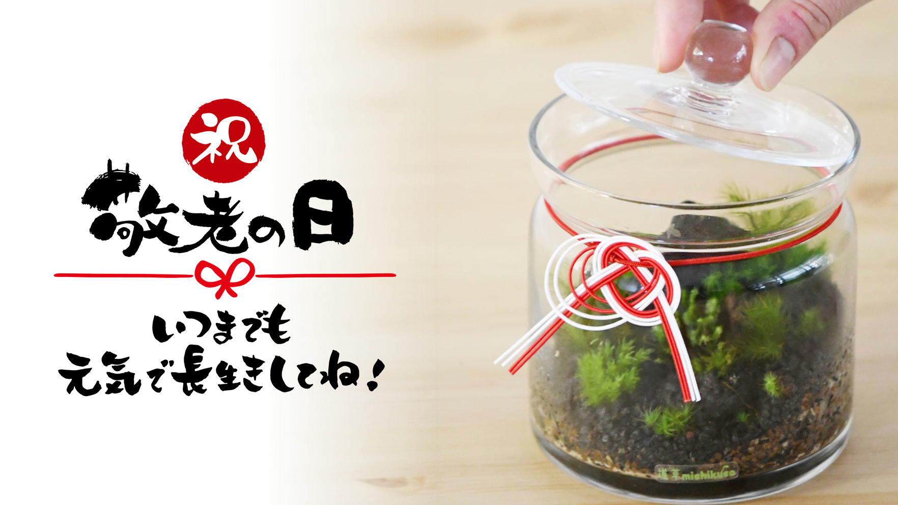 敬老の日に苔テラリウムを贈りませんか？