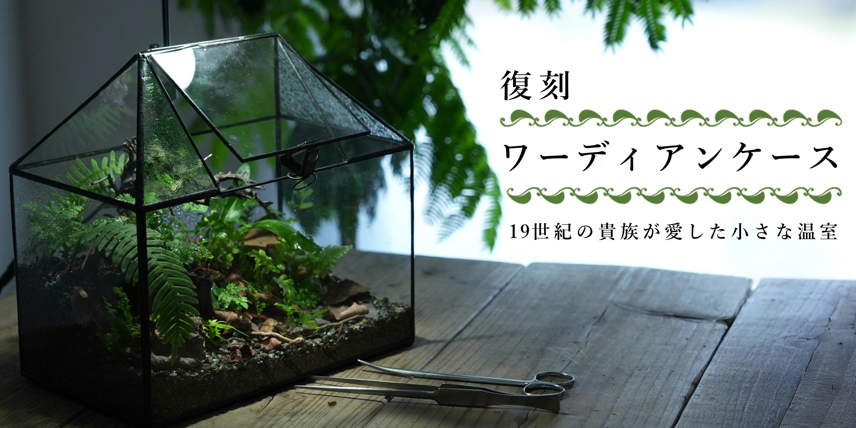 【復刻】植物を育てるワーディアンケース － 19世紀の貴族が愛した小さな温室