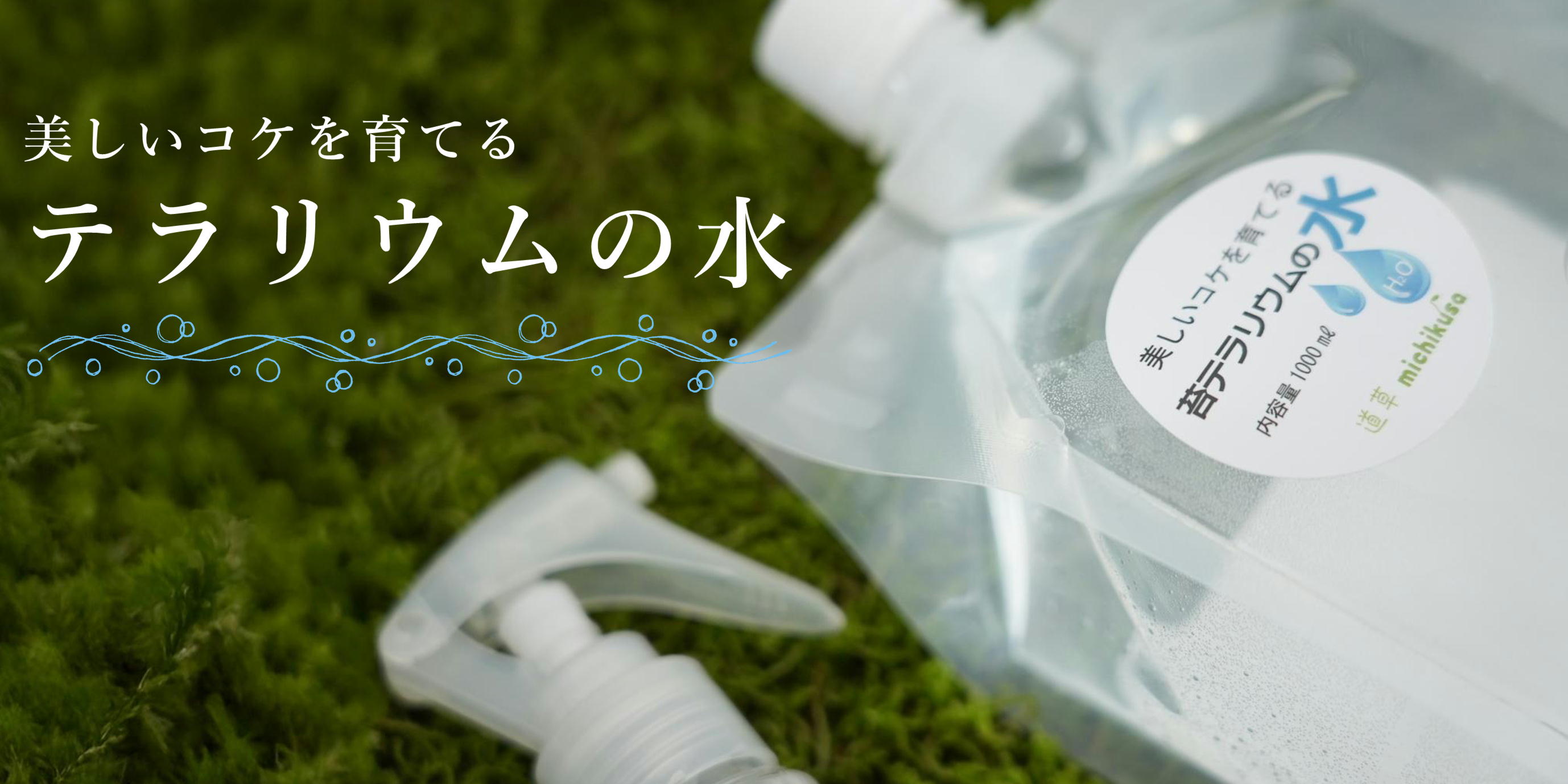 苔テラリウムを美しく育てる水