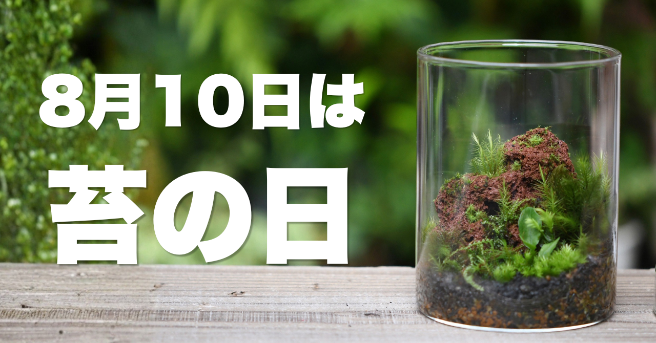 8月10日は『苔の日』です