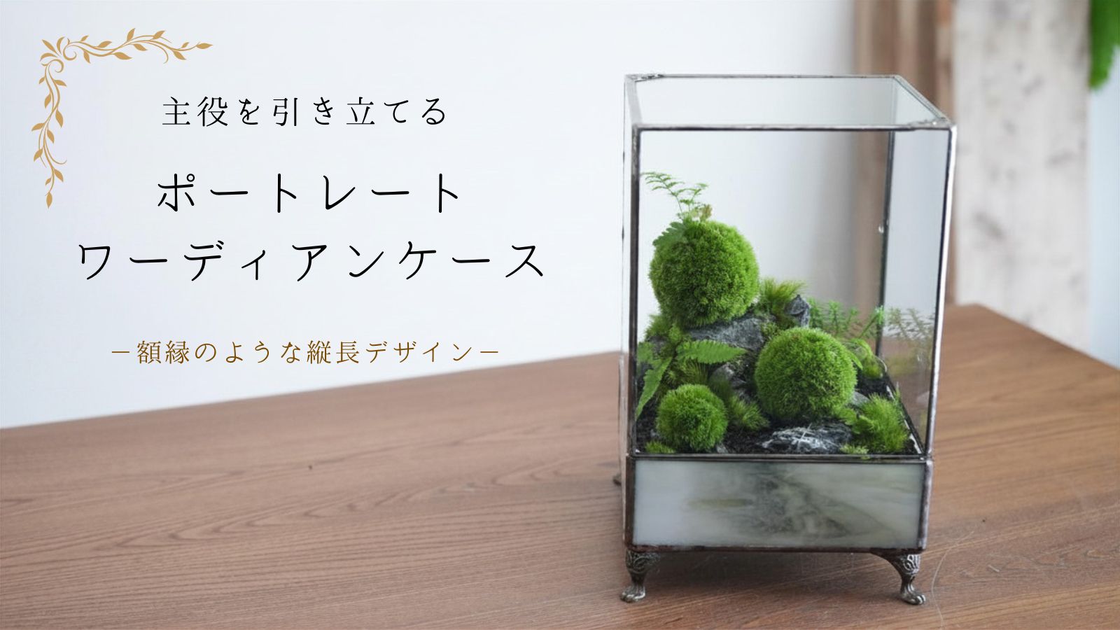 とっておきの植物を引き立てる 額縁のようなワーディアンケース|IKUIT×道草コラボ第3弾