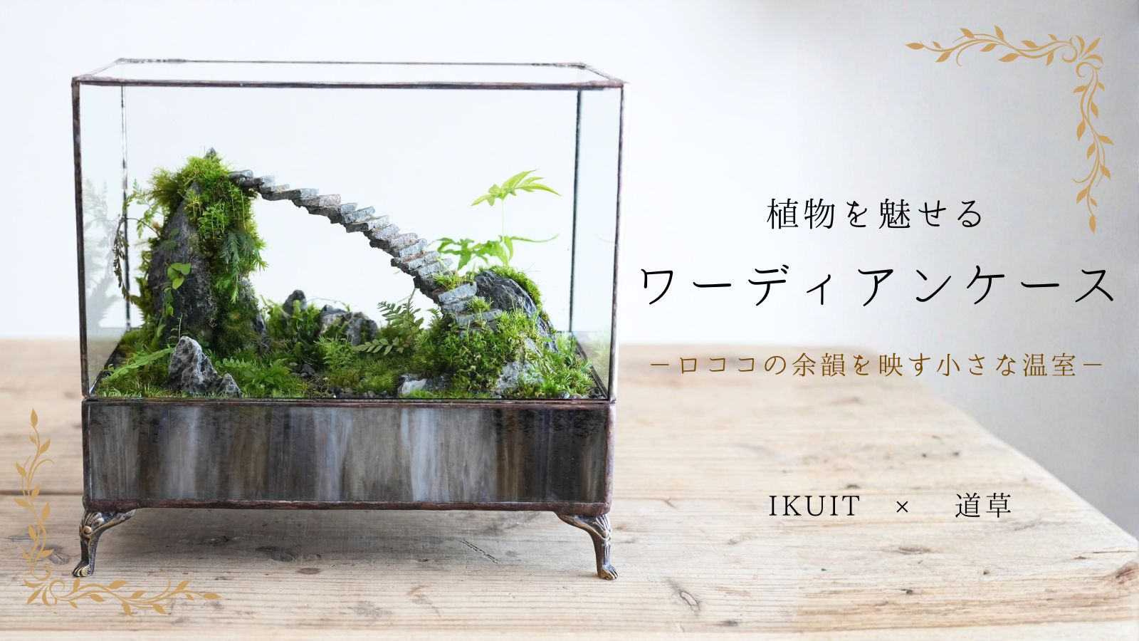植物を魅せるワーディアンケース － ロココの余韻を映す小さな温室｜IKUIT×道草コラボ第二弾