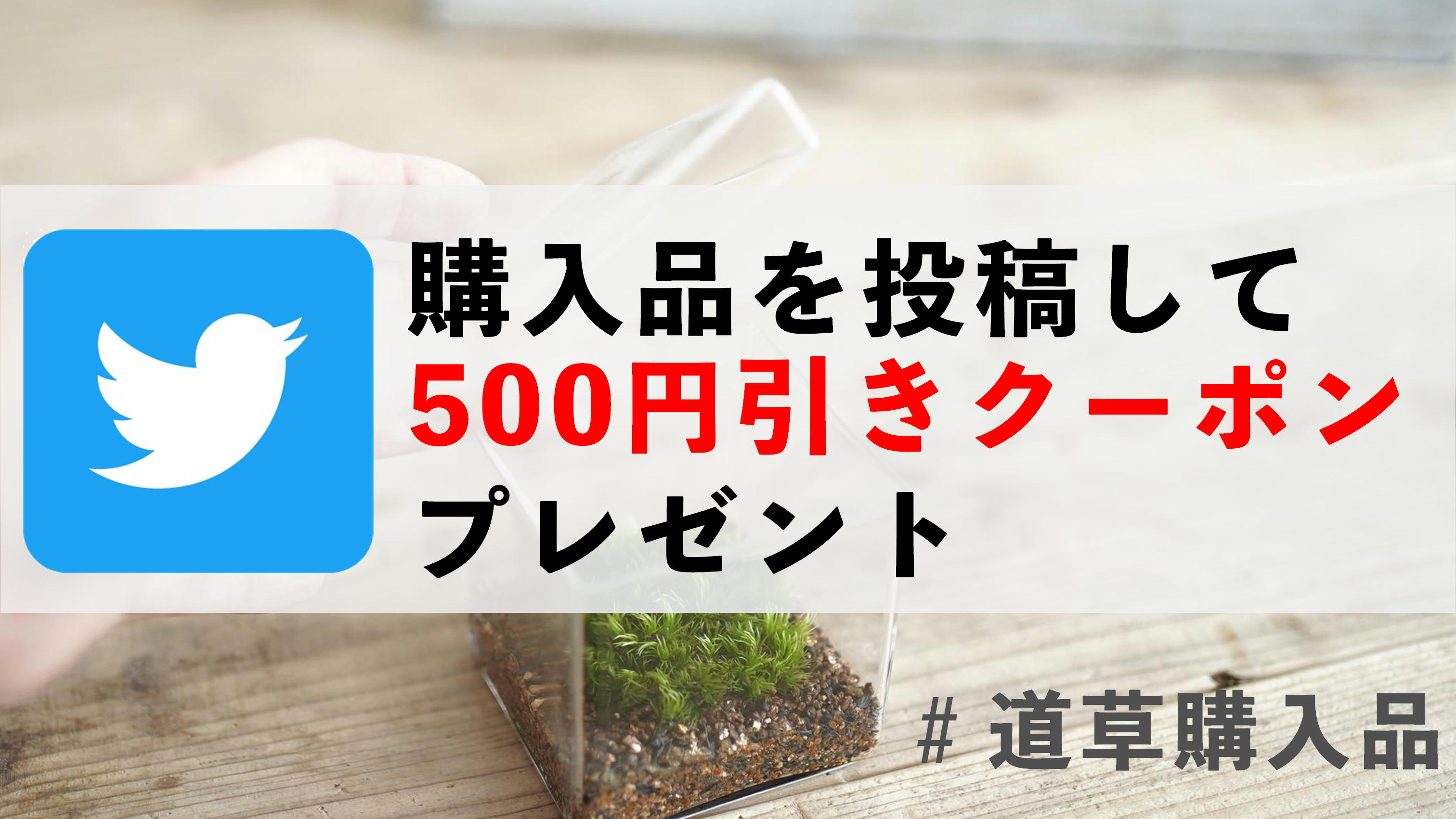購入品をtwitterに投稿して500円引きクーポンを手に入れよう！