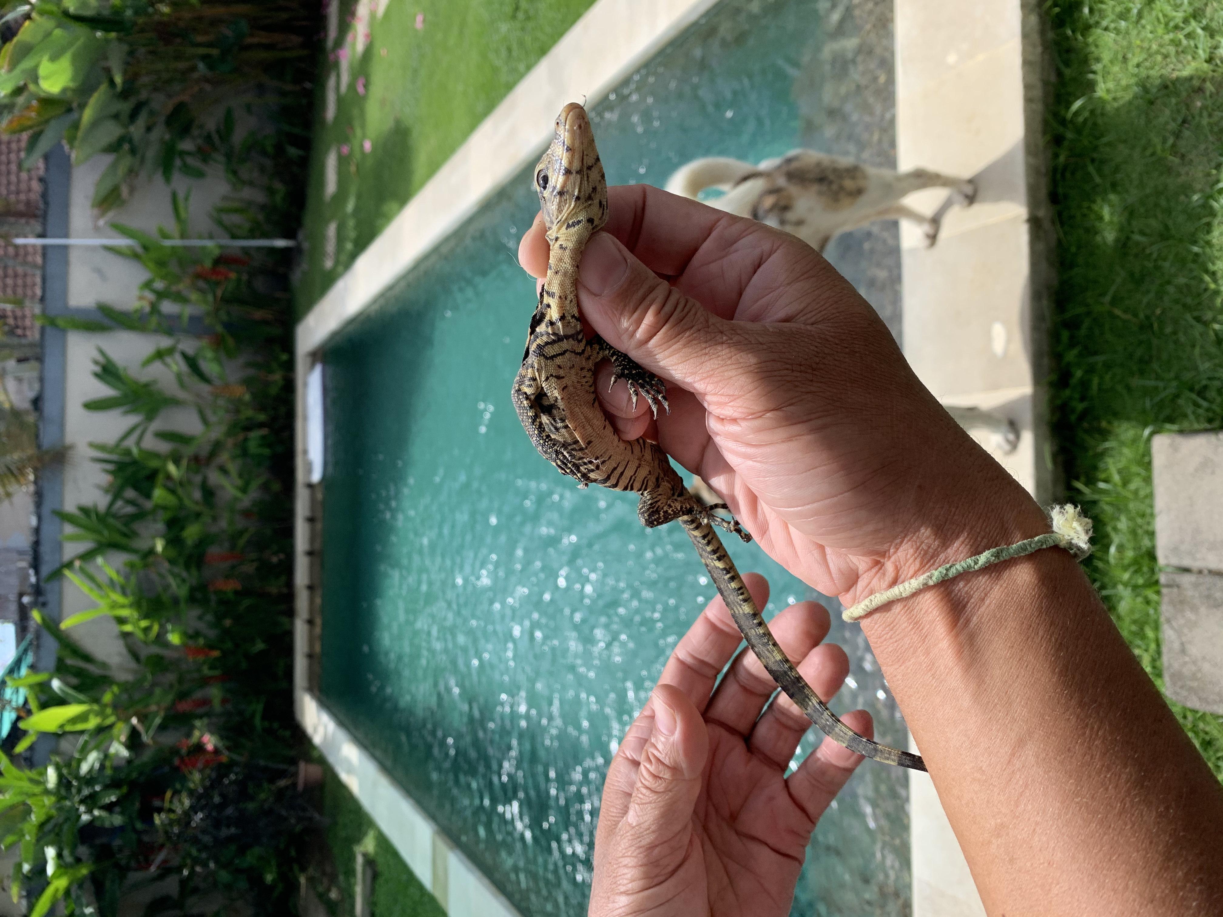 かわい子ちゃん発見