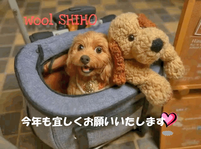 今年も宜しくお願いいたします。