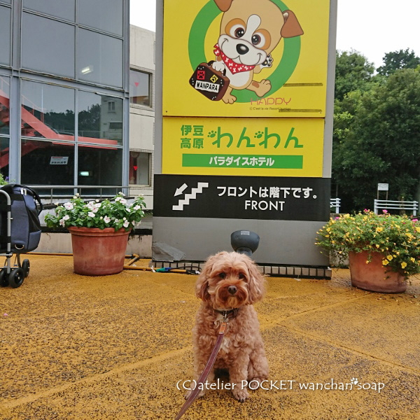 『伊豆高原わんわんパラダイスホテル』に出店♪