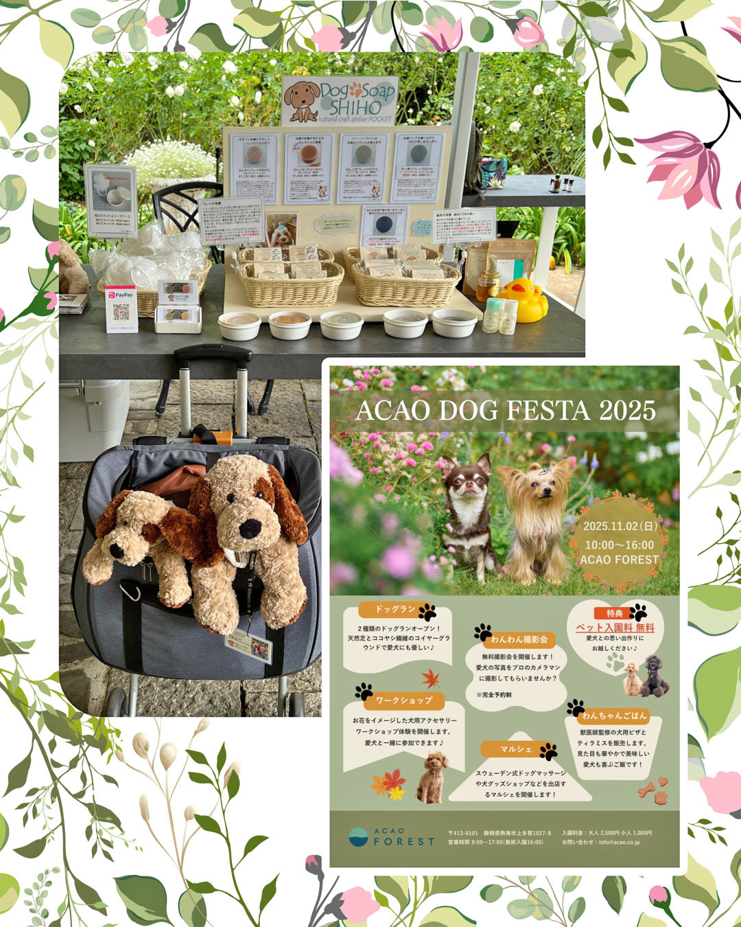 『ACAO DOG FESTA 2025』に出店しました♪