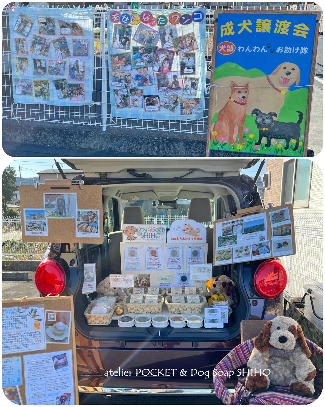 保護犬譲渡会『わんわんおたすけ会』に参加しました。