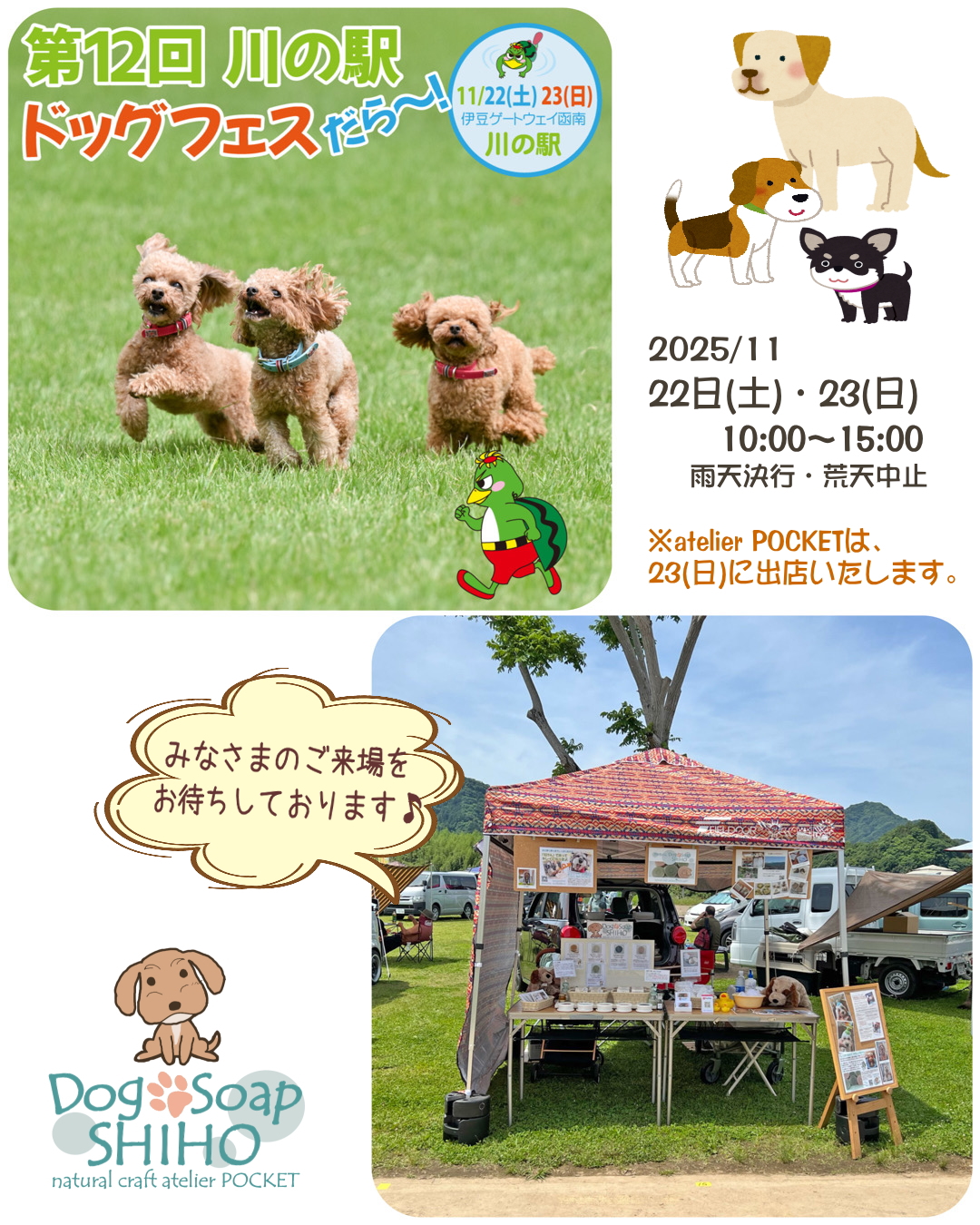 『第12回 川の駅ドッグフェスだら~』に出店します♪