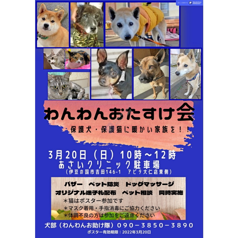 ３月『わんわんおたすけ会』開催のお知らせ