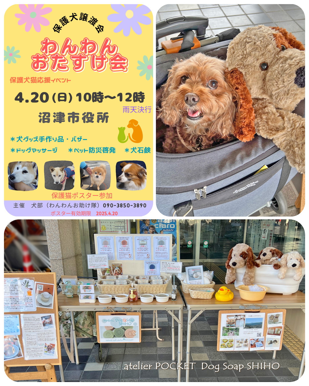 『わんわんおたすけ会』開催と出店のお知らせ♪