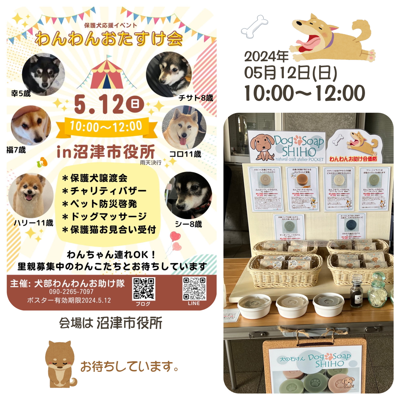 『わんわんおたすけ会』保護犬の譲渡会、開催のお知らせ。