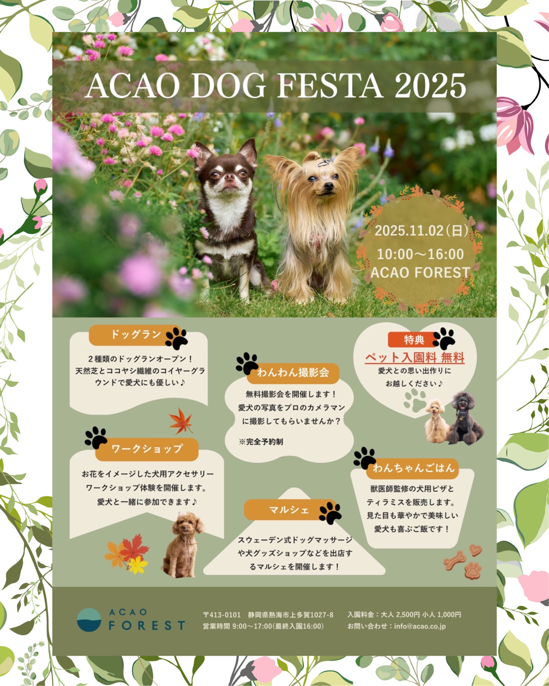 『ACAO DOG FESTA 2025』 わんわんマルシェ に出店します♪