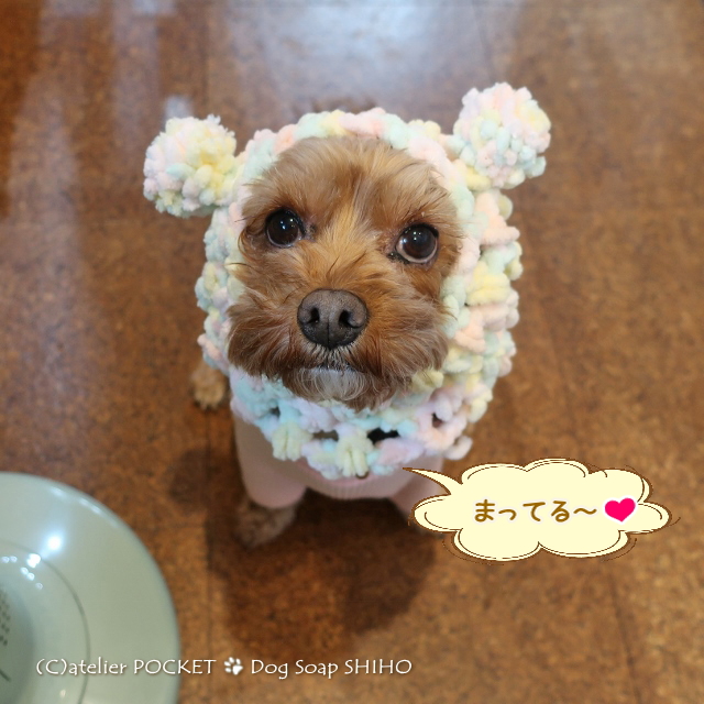 ごはん、待ってます～♪