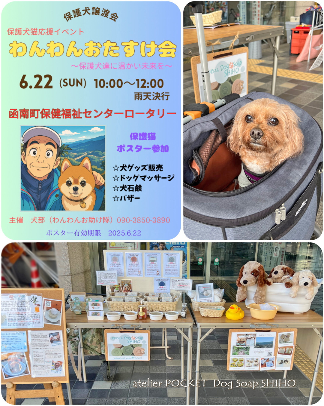 保護犬譲渡会『わんわんおたすけ会』にバザー出店します♪