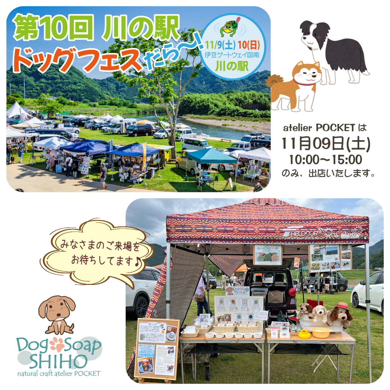 『第10回川の駅ドッグフェスだら～』に出店します♪