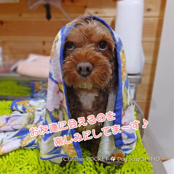 お待ちしてます♪