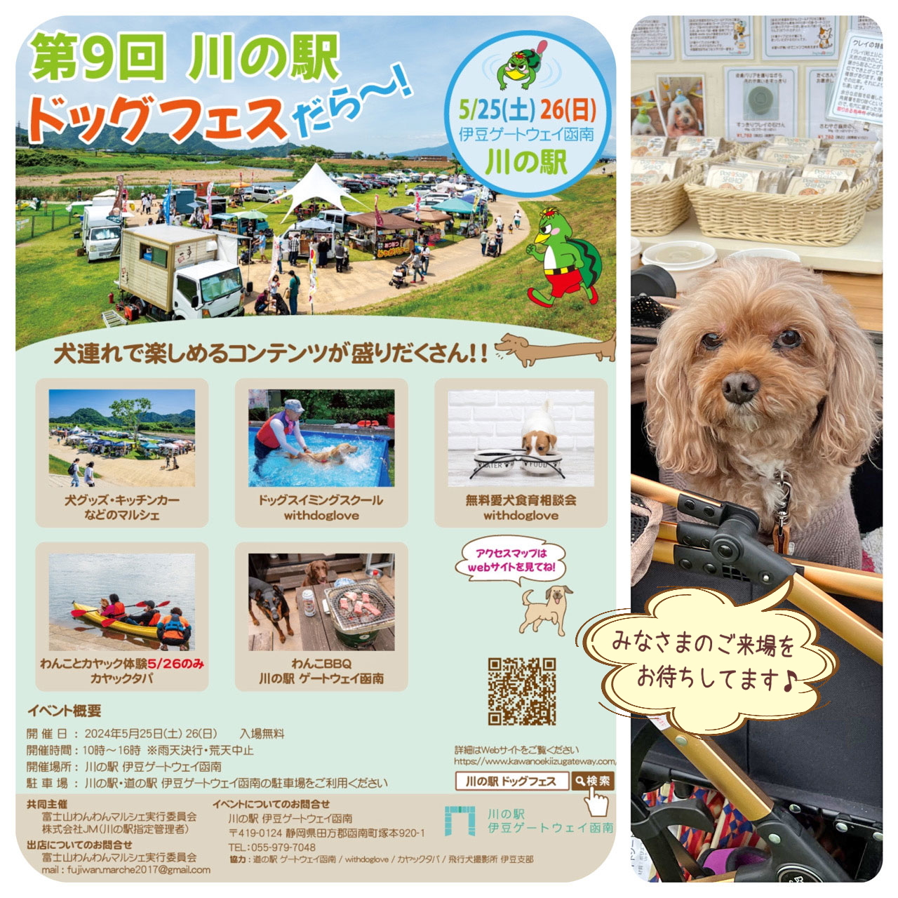 『第９回川の駅ドッグフェスだら～』に出店します♪