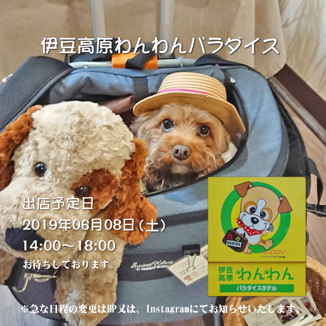 次回の『伊豆高原わんわんパラダイス』出店のお知らせ♪