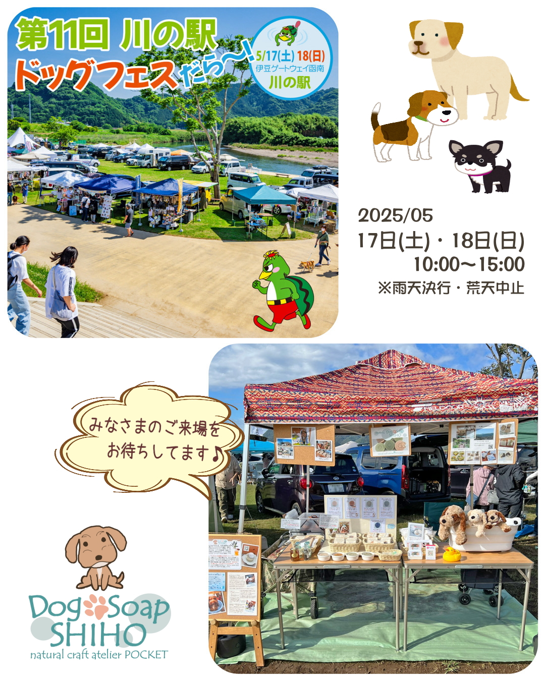 『第11回 川の駅ドッグフェスだら～』』に出店します♪
