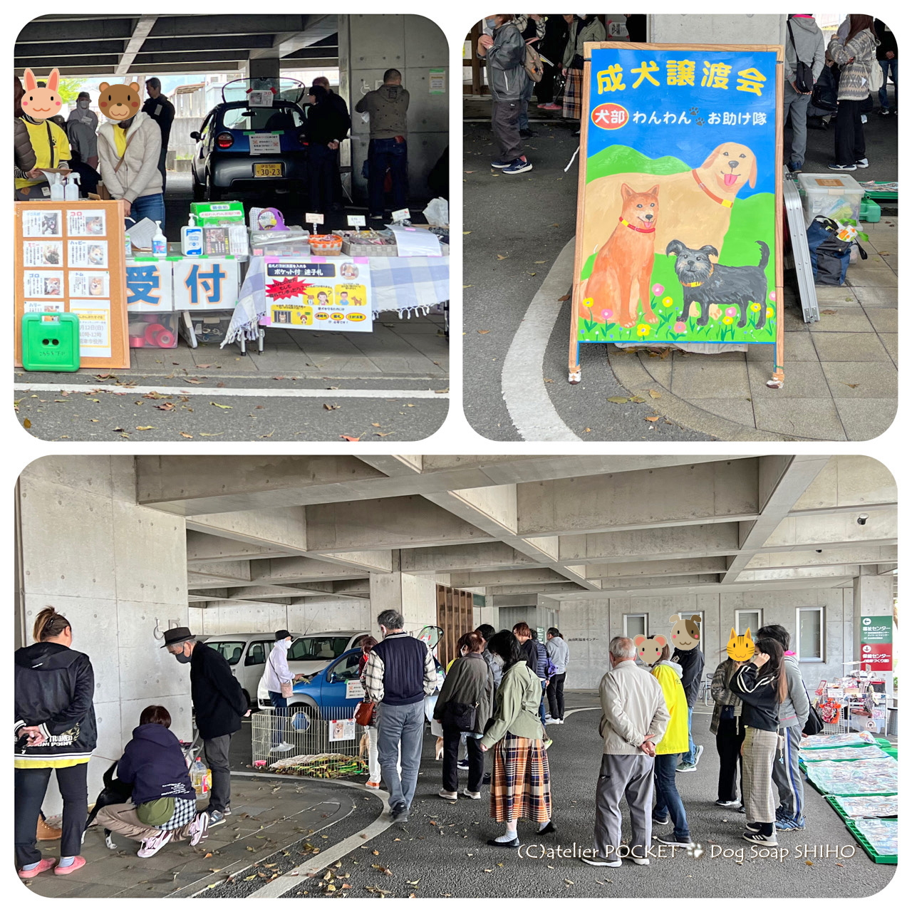 保護犬譲渡会『わんわんおたすけ会』に参加しました。