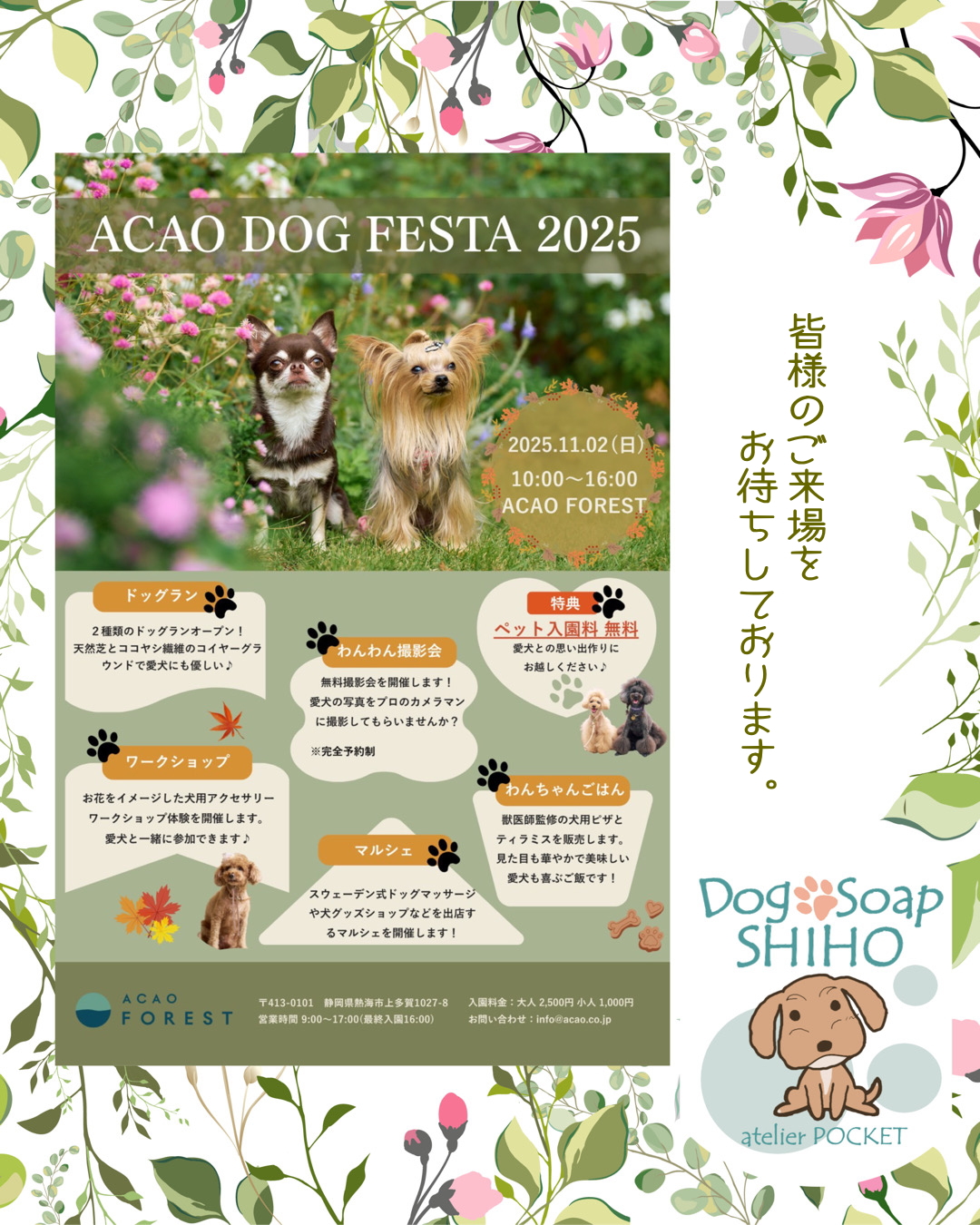 『ACAO DOG FESTA 2025』が開催されます♪