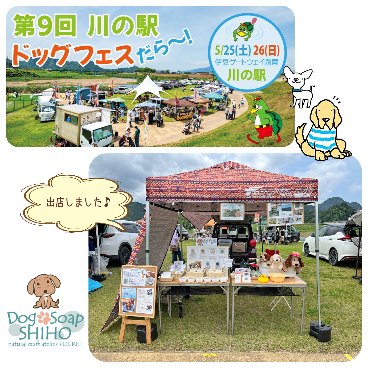 『第9回 川の駅ドッグフェスだら～』に出店しました♪