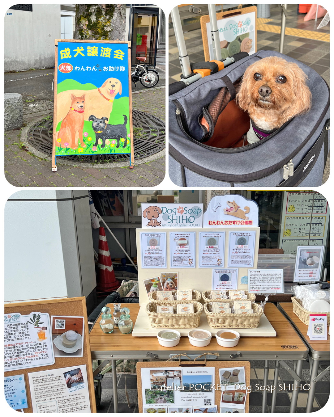 4月保護犬譲渡会『わんわんおたすけ会』のバザーに出店しました。