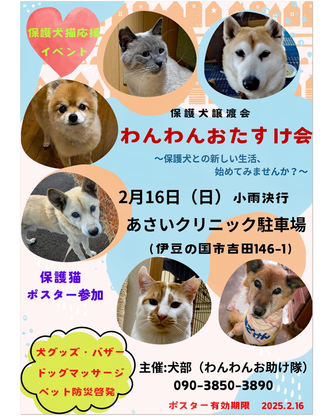 2025年2月の『わんわんおたすけ会』保護犬の譲渡会開催のお知らせ