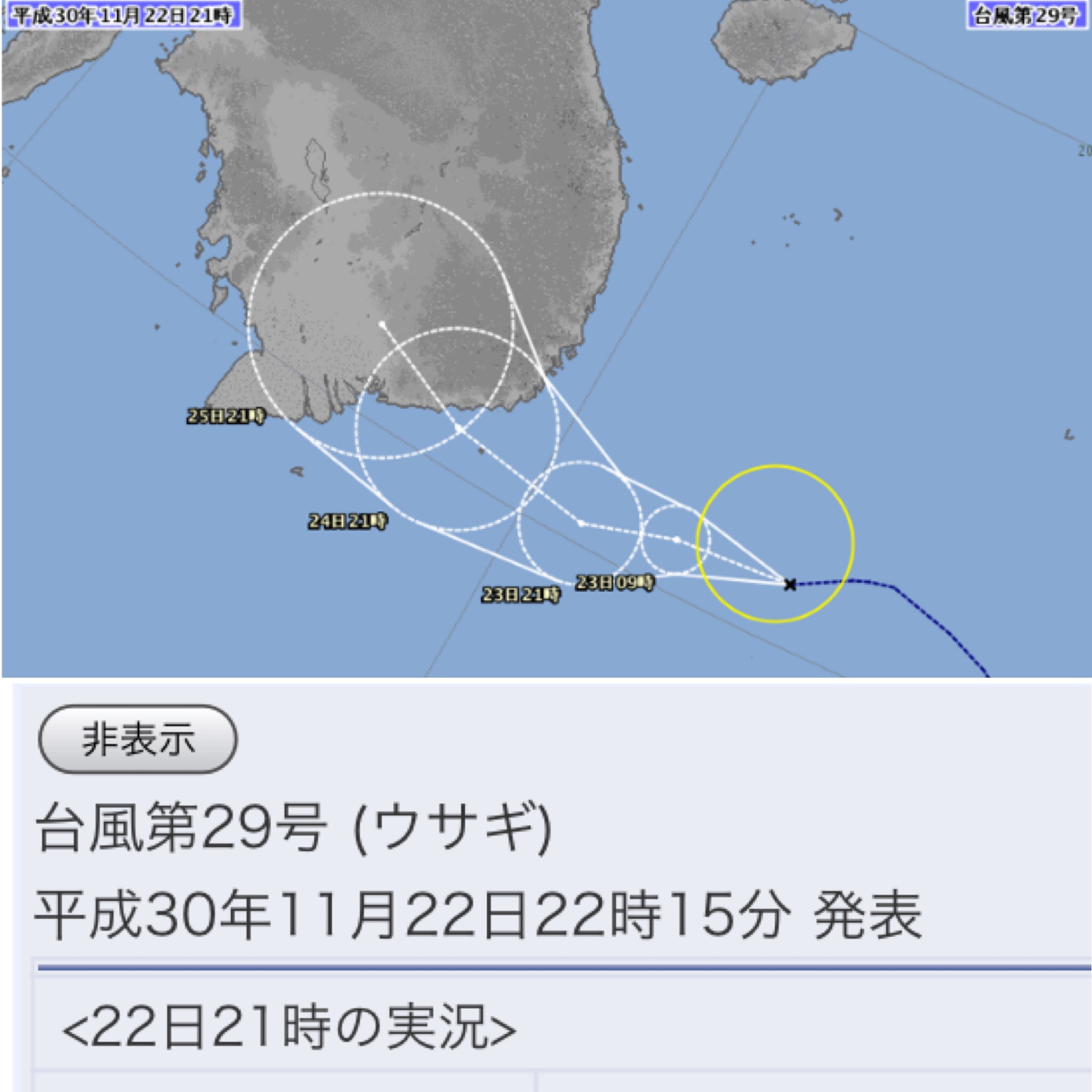 台風第29号 (ウサギ)