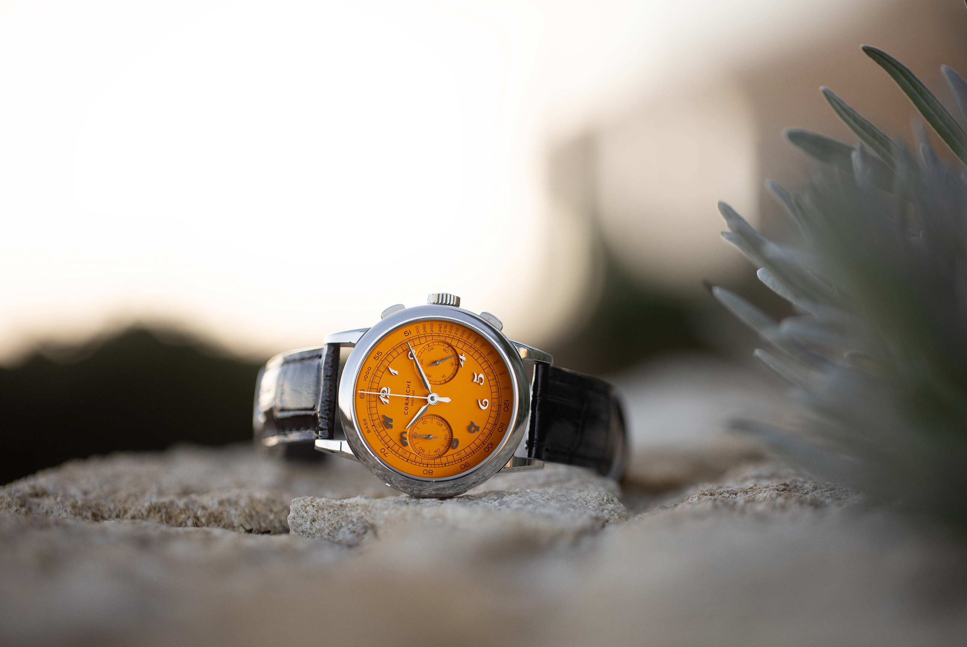 コーニッシュ – 色鮮やかで印象的なオレンジダイアルの数量限定腕時計