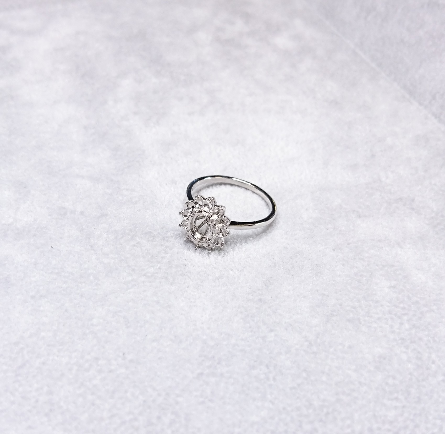 ・・・もう来年かな！