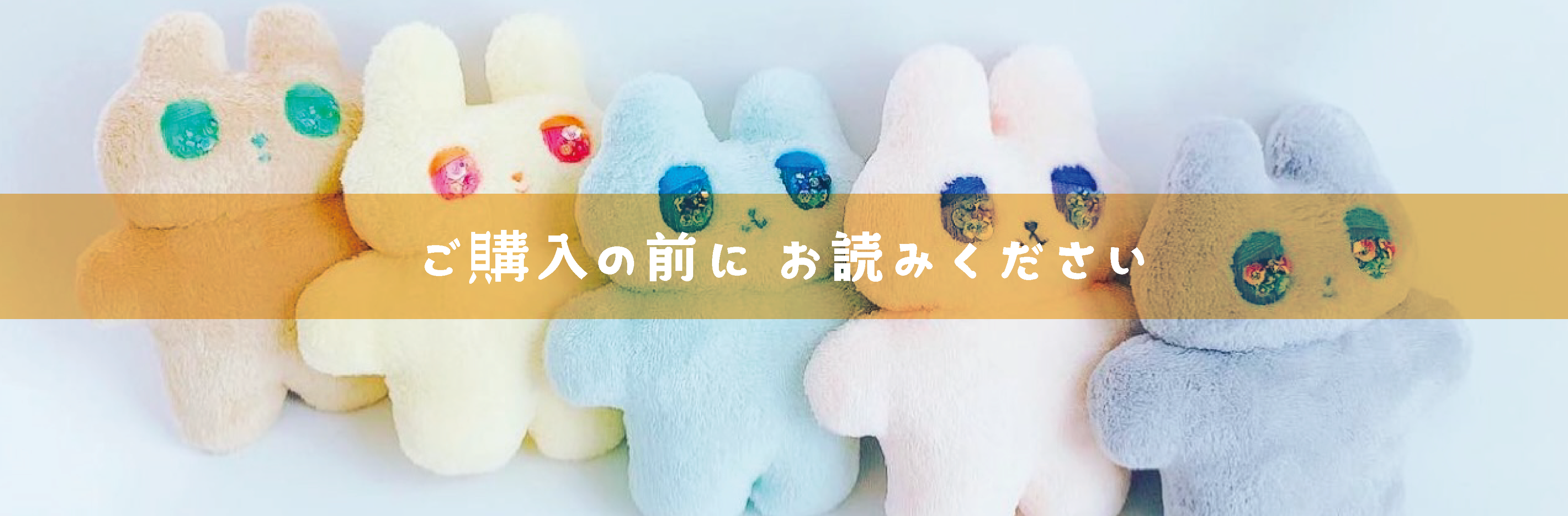 ご購入の前に お読みください