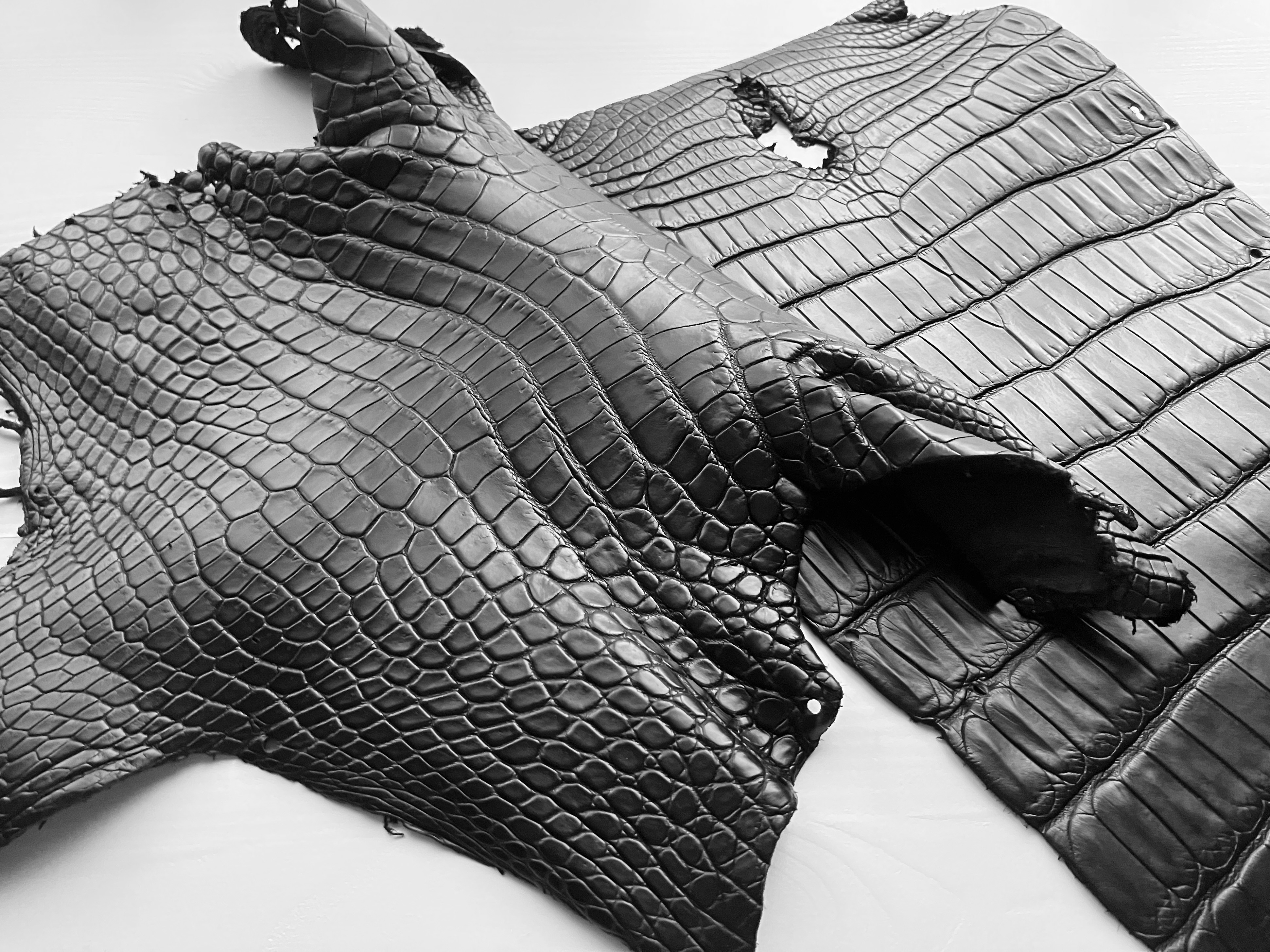 IGNISを所有する意味と選択