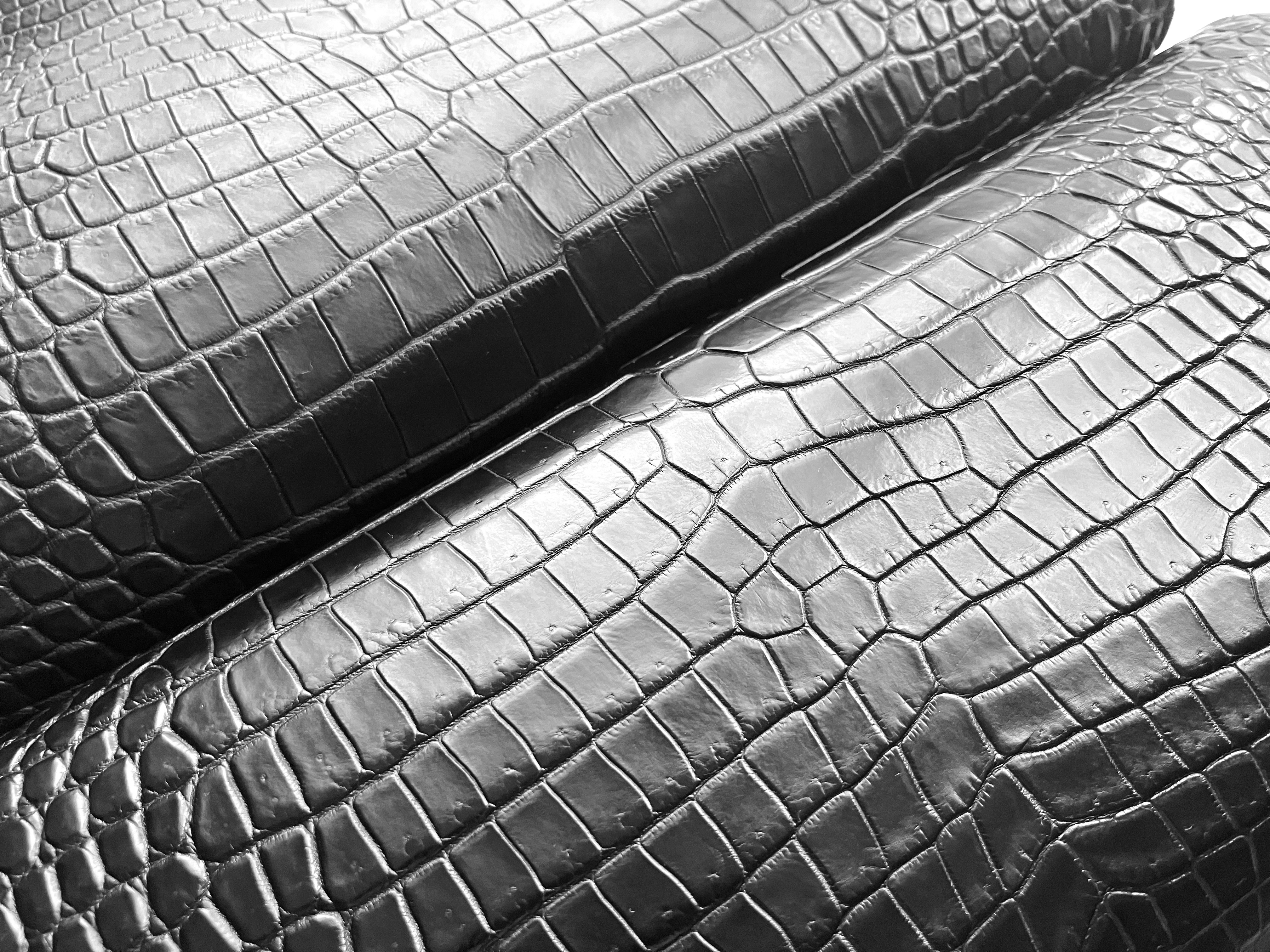 APOTHEOSISを所有する意味と選択