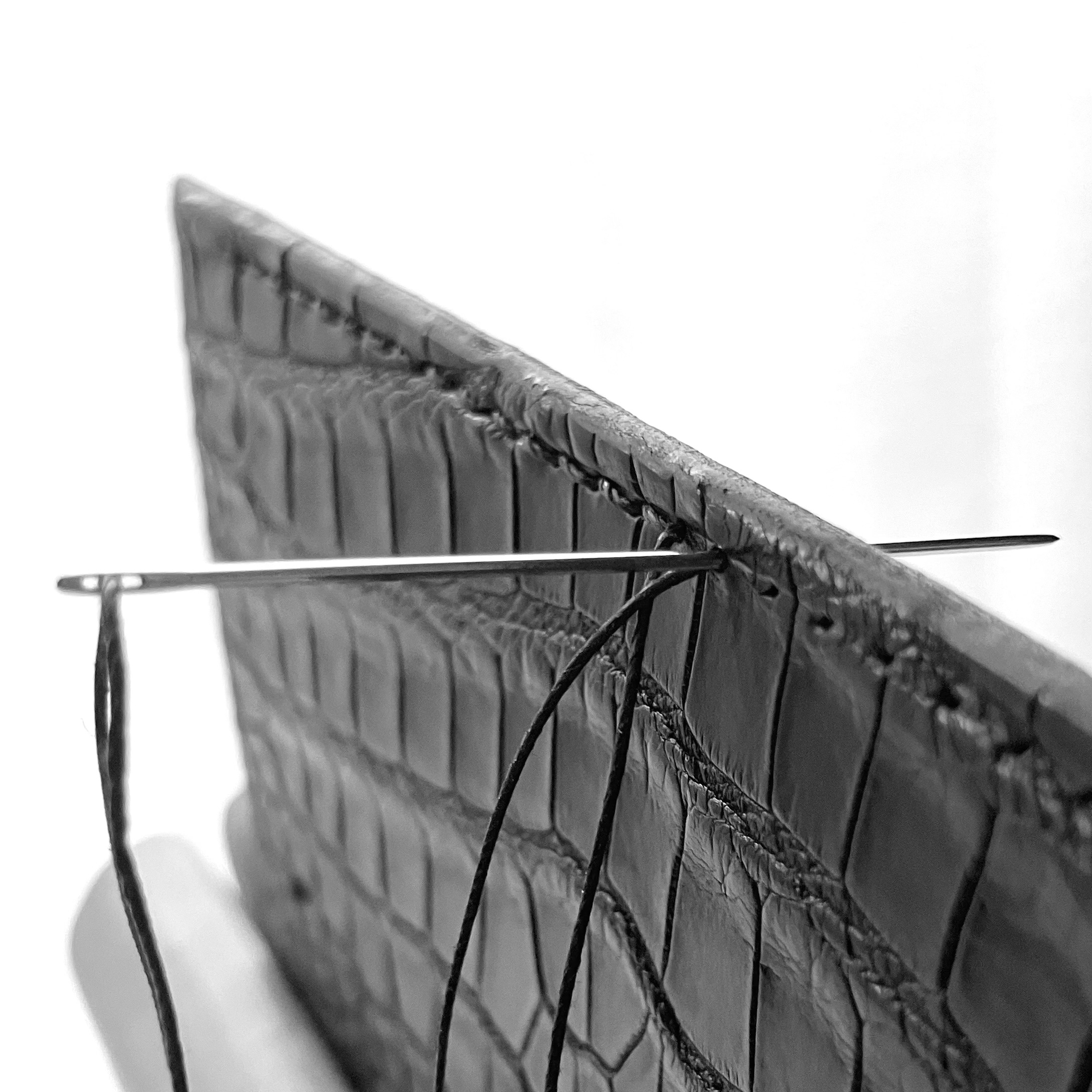 APOTHEOSISを所有する意味と選択