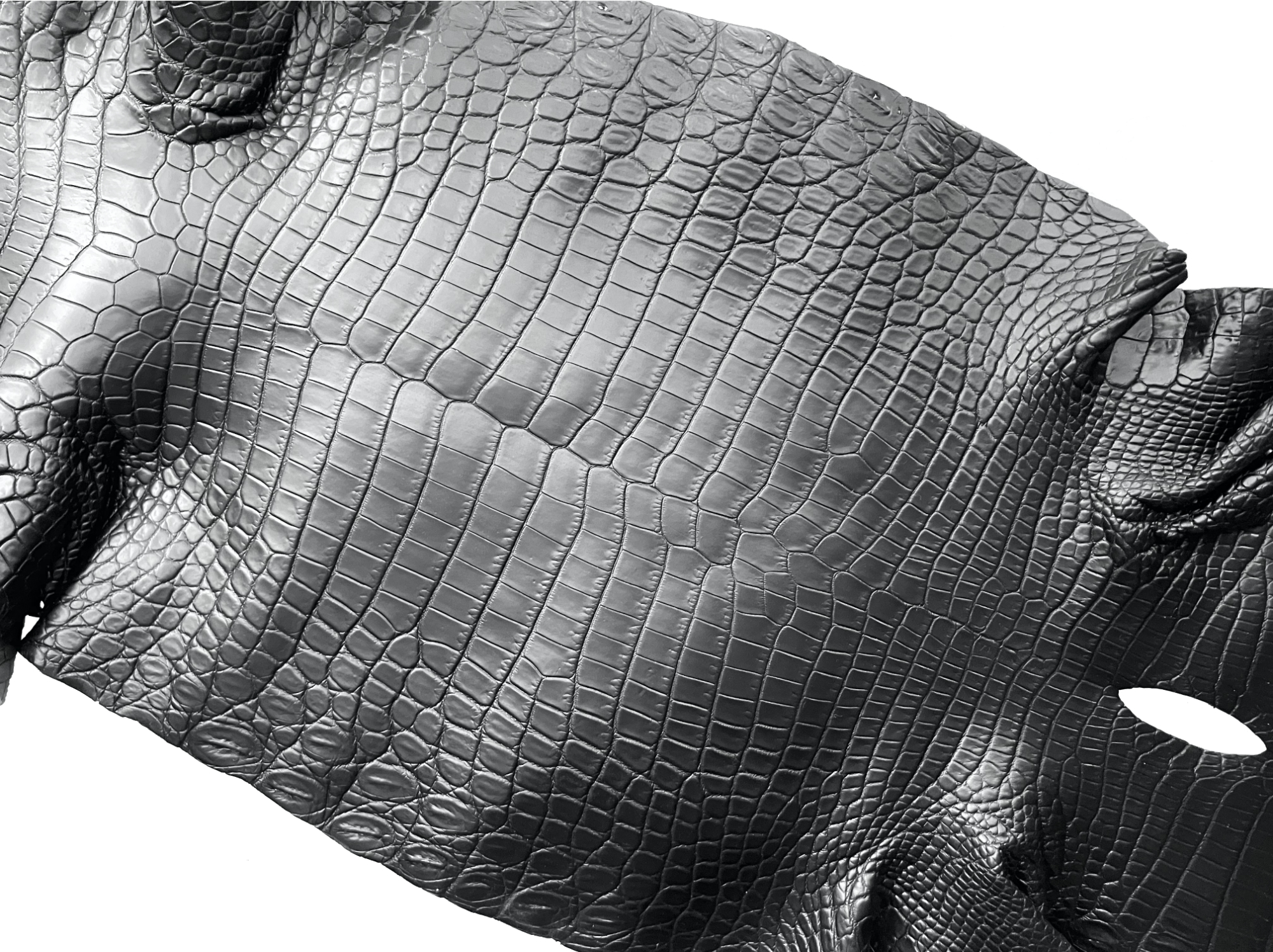 MasterPieceを所有する意味と選択