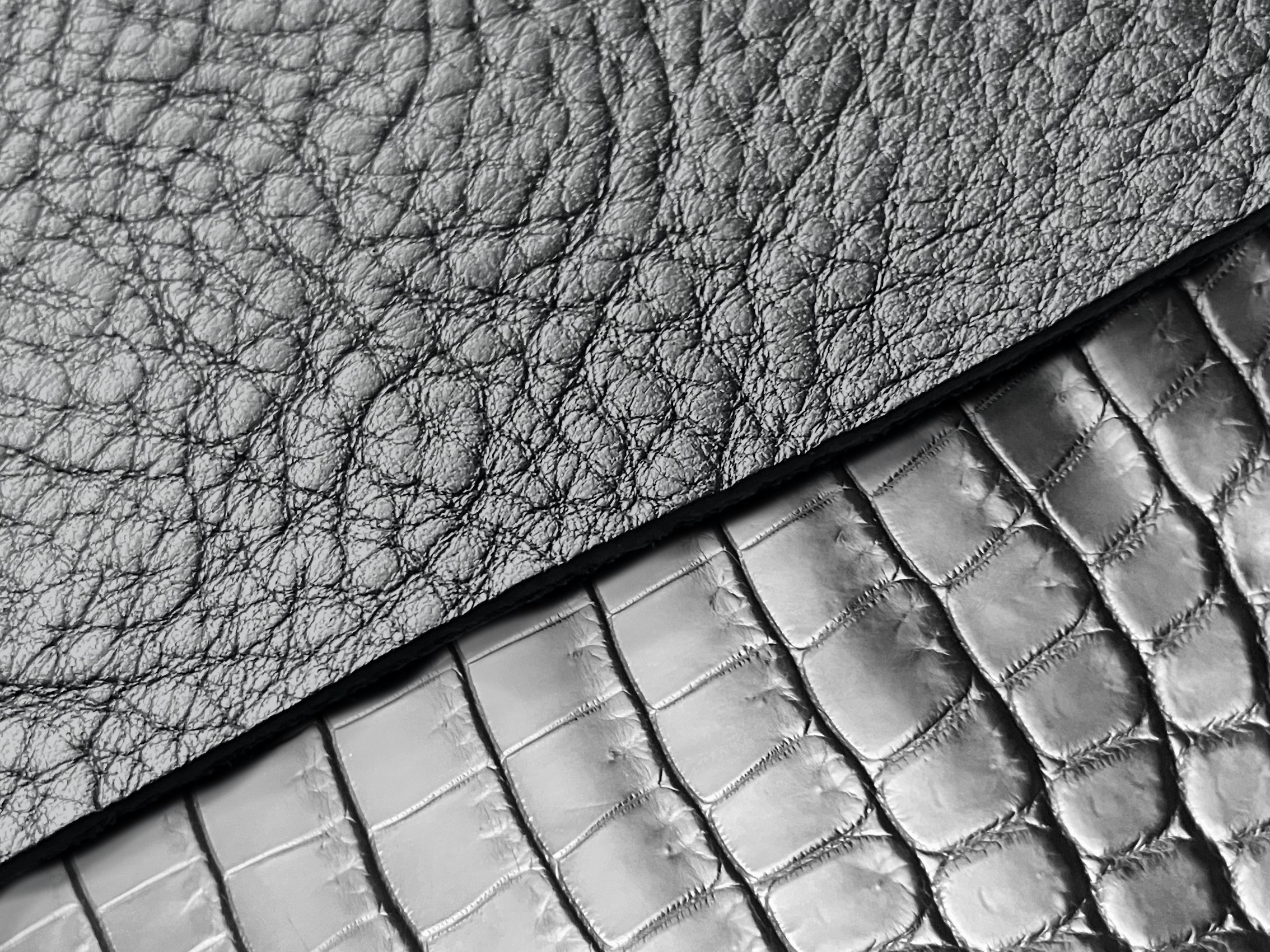 BLACK REVEALを所有する意味