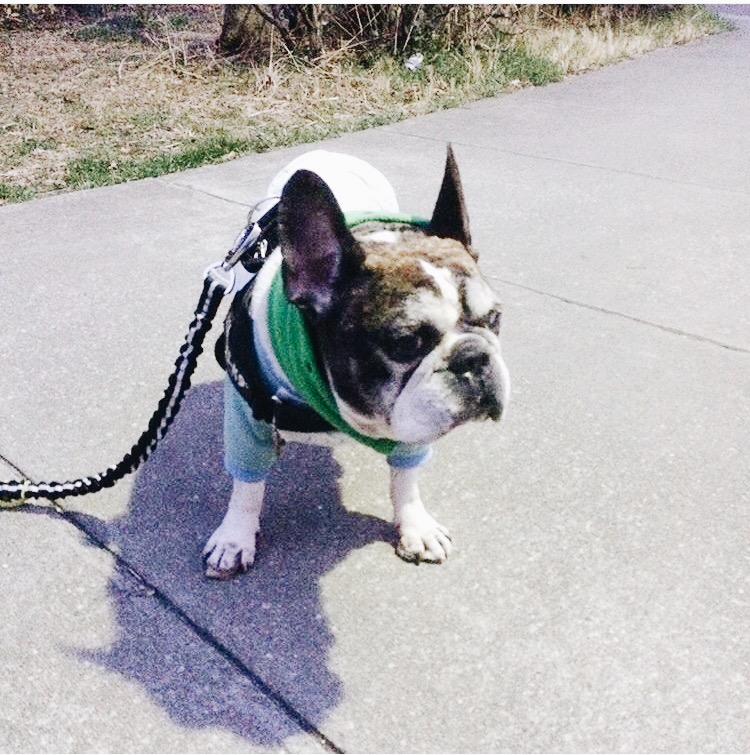 ❤︎　お客様スナップ　❤︎