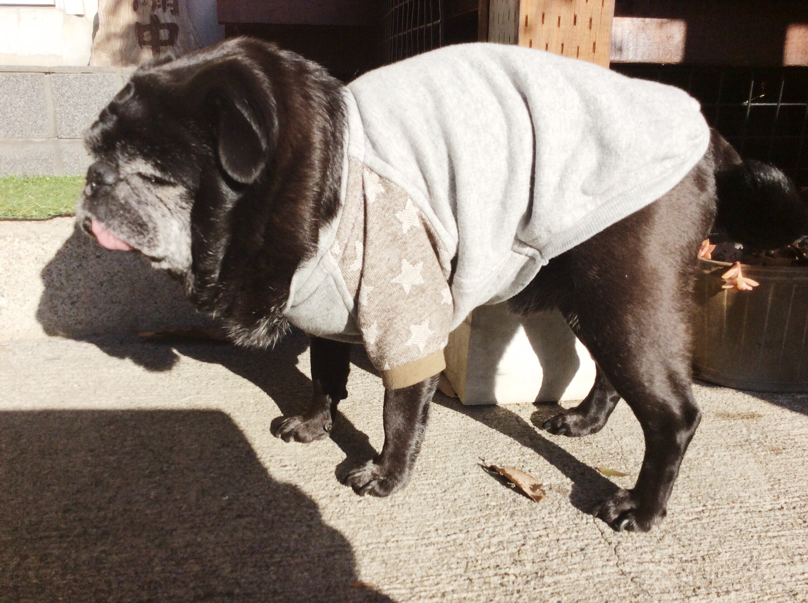 ❤︎　お客様スナップ　❤︎