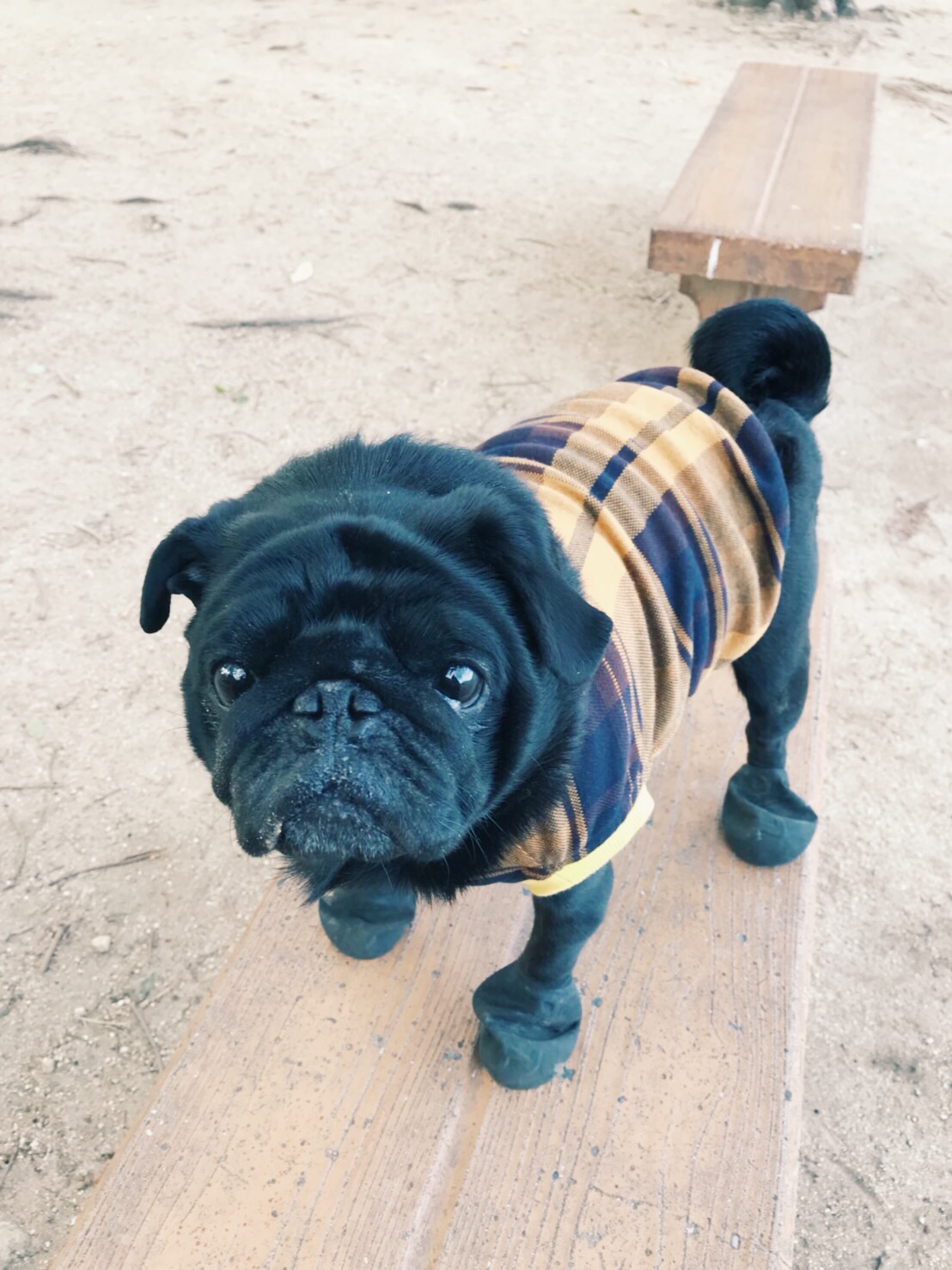 ❤︎　お客様スナップ　❤︎